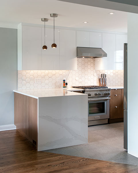 Renovation Ottawa Kitchen
